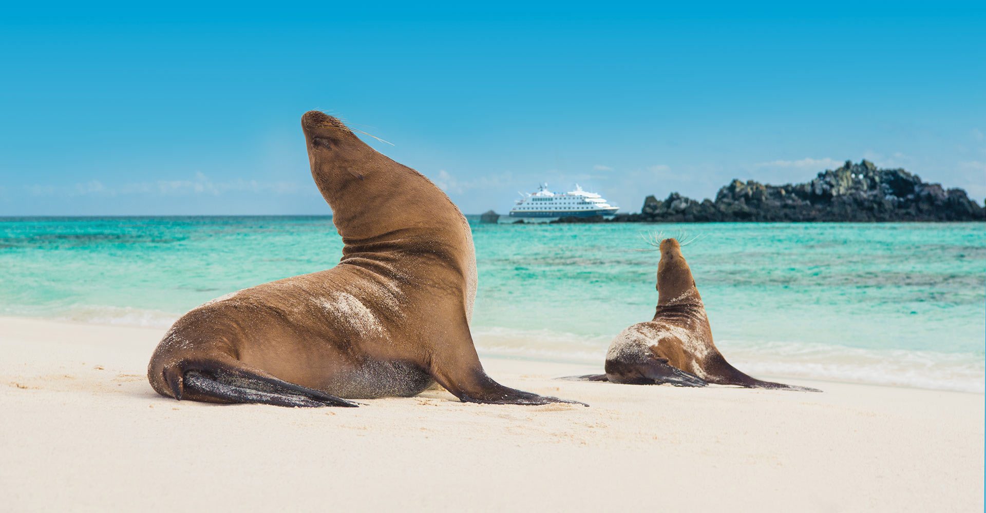 Galapagos Cruises from Lindblad Expeditions and National Geographic